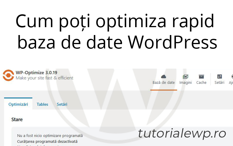 Cum poți optimiza rapid baza de date WordPress