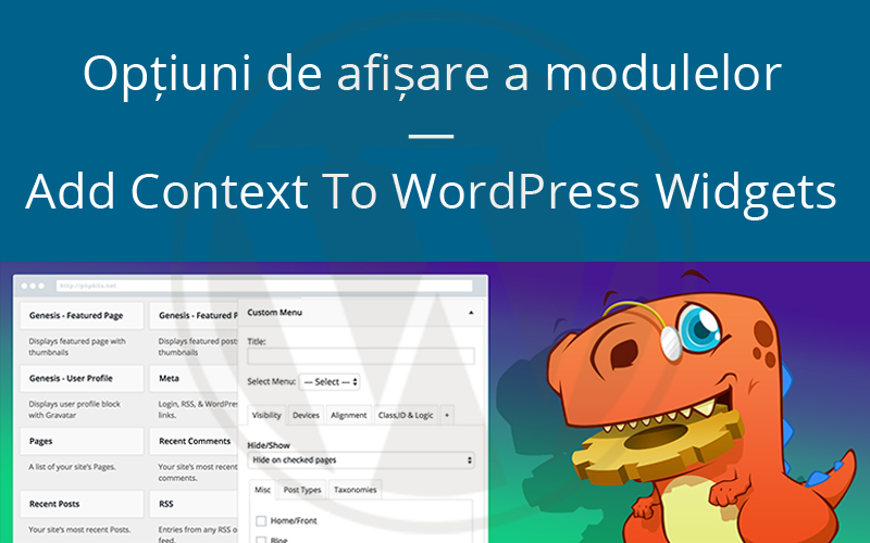 Widget Options: Opțiuni de afișare a pieselor — Add Context To WordPress Widgets